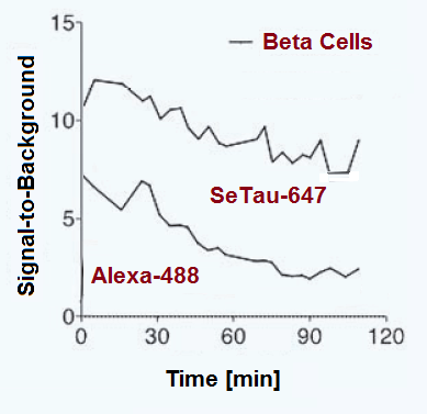 Quantum yields of IgG-conjugates of  SeTau-647, Alexa 647 and Cy5 at various dye-to-protein ratios in phosphate buffer (pH 7.4)